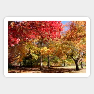 Autumn Landscape4 Sticker